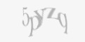 Защитный код