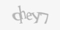 Защитный код